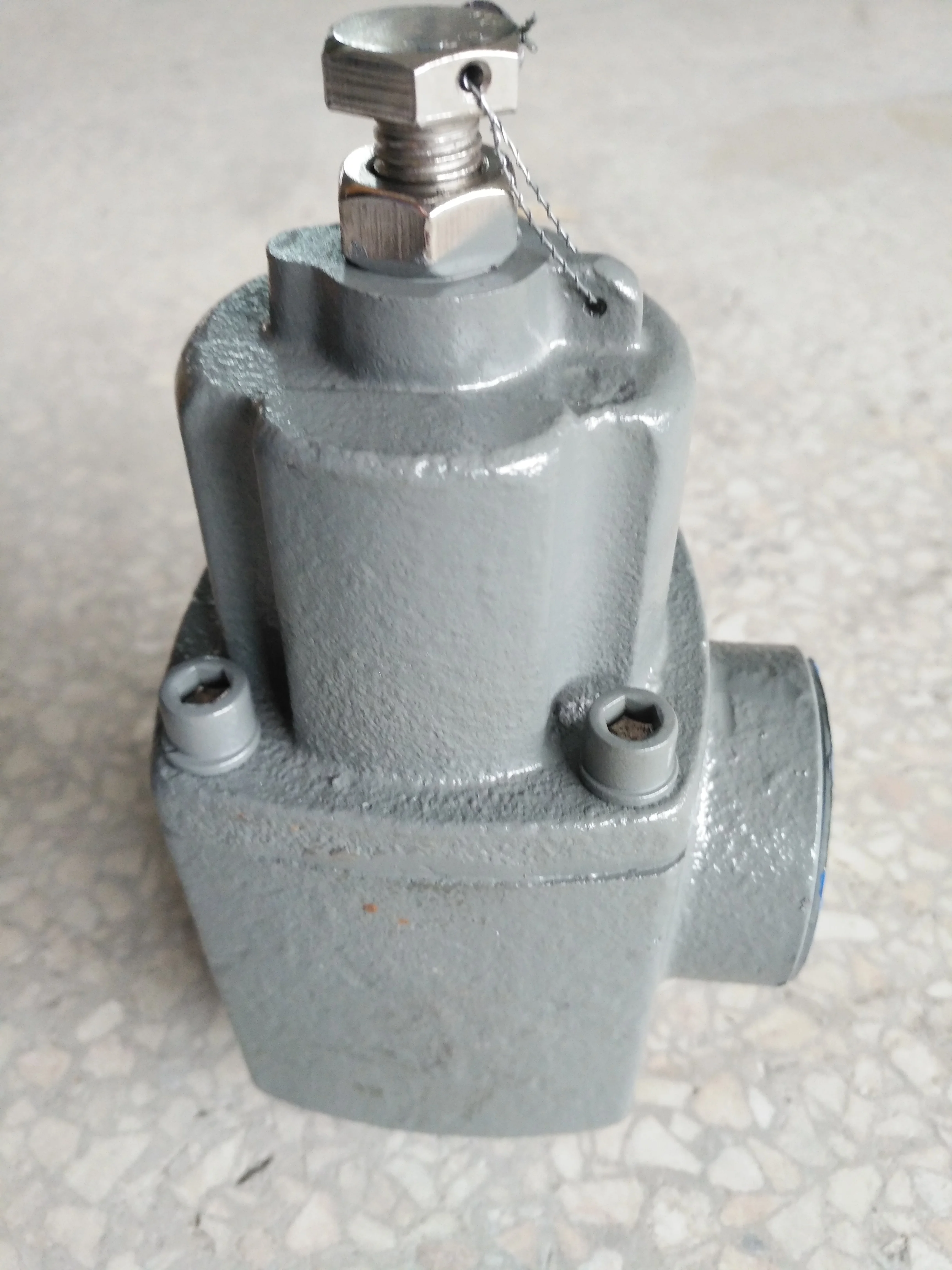 China OEM  DN 25 Bypass Valve For Lpg Station