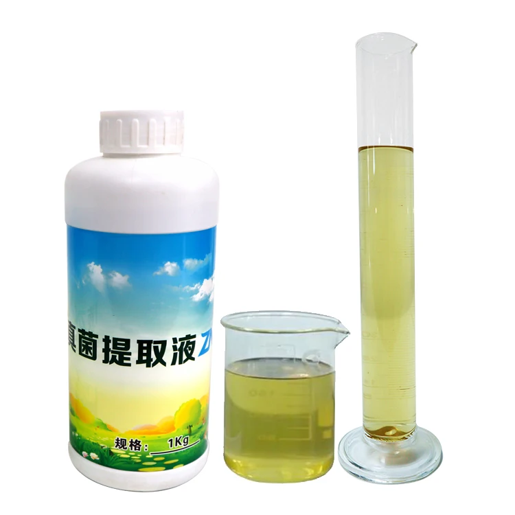 Бытовые бактерициды, Лидер продаж