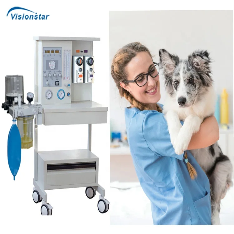 Medical Veterinary Anesthesia Device Animal Anesthesia Machine with Built-in Ventilator
