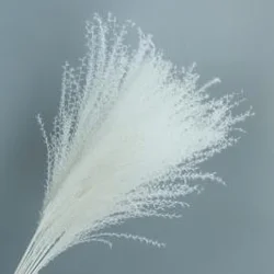 Natural Pampas Grass Dried Flowers Wedding Decoration Small Pampa Grass Natural Pampas Grass  decorative for outdoor decor