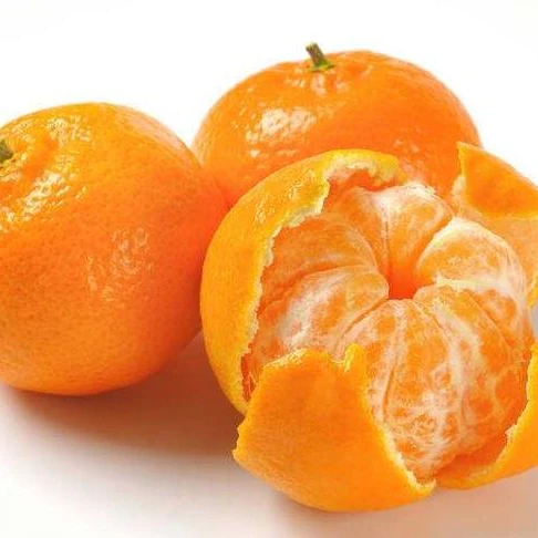 2022 fresh sweet mandarin orange fresh fruit