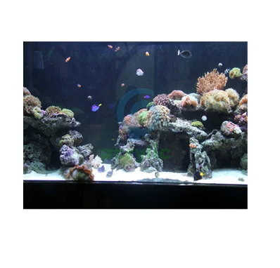 PG Unique Fish Supplies Large Glass Aquarium Acrylic Fish Tank
