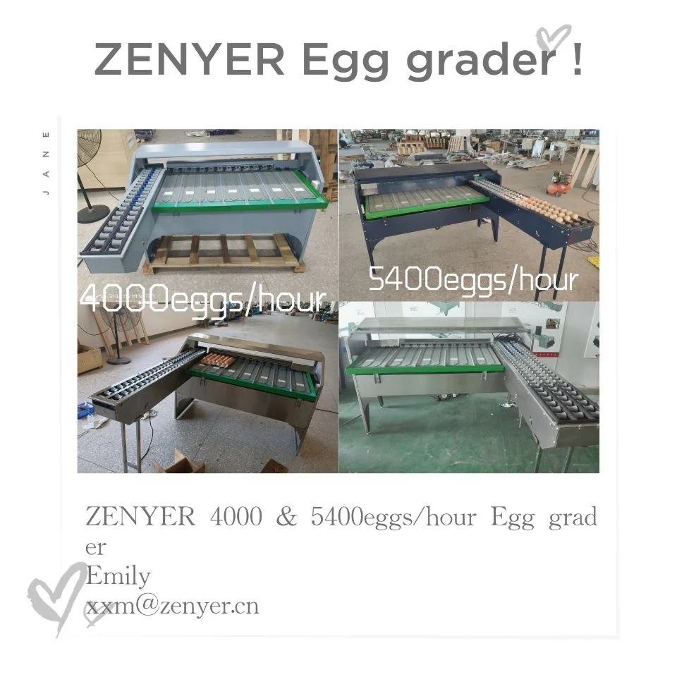  Яйцо фермеров любимых горячих продается яйцо грейдер классификатора машин