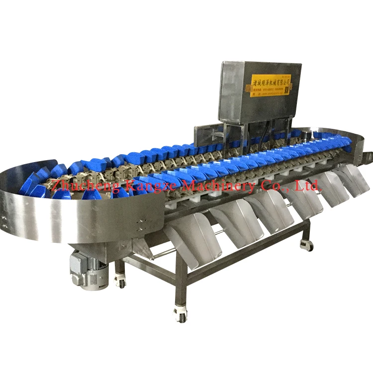 Low price sale 304 Stainless steel fish seafood shrimp weight sorting machine Chicken feet Wing Middle wing root grading machine