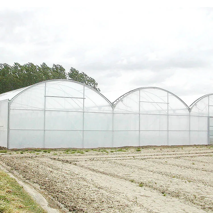 Commercial Agricultural Used Greenhouses for sale