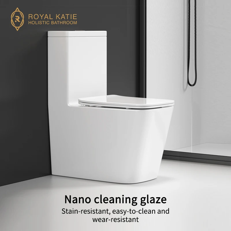 Hotel Project Modern Traditional WC  One Piece Toilet Bowl Ceramic Water Closet Bathroom Washdown Flushing Toilet