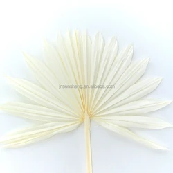 Wholesale dried flowers plam leaves palm poufs spears dried peony flowers dried bouquet of flowers mix