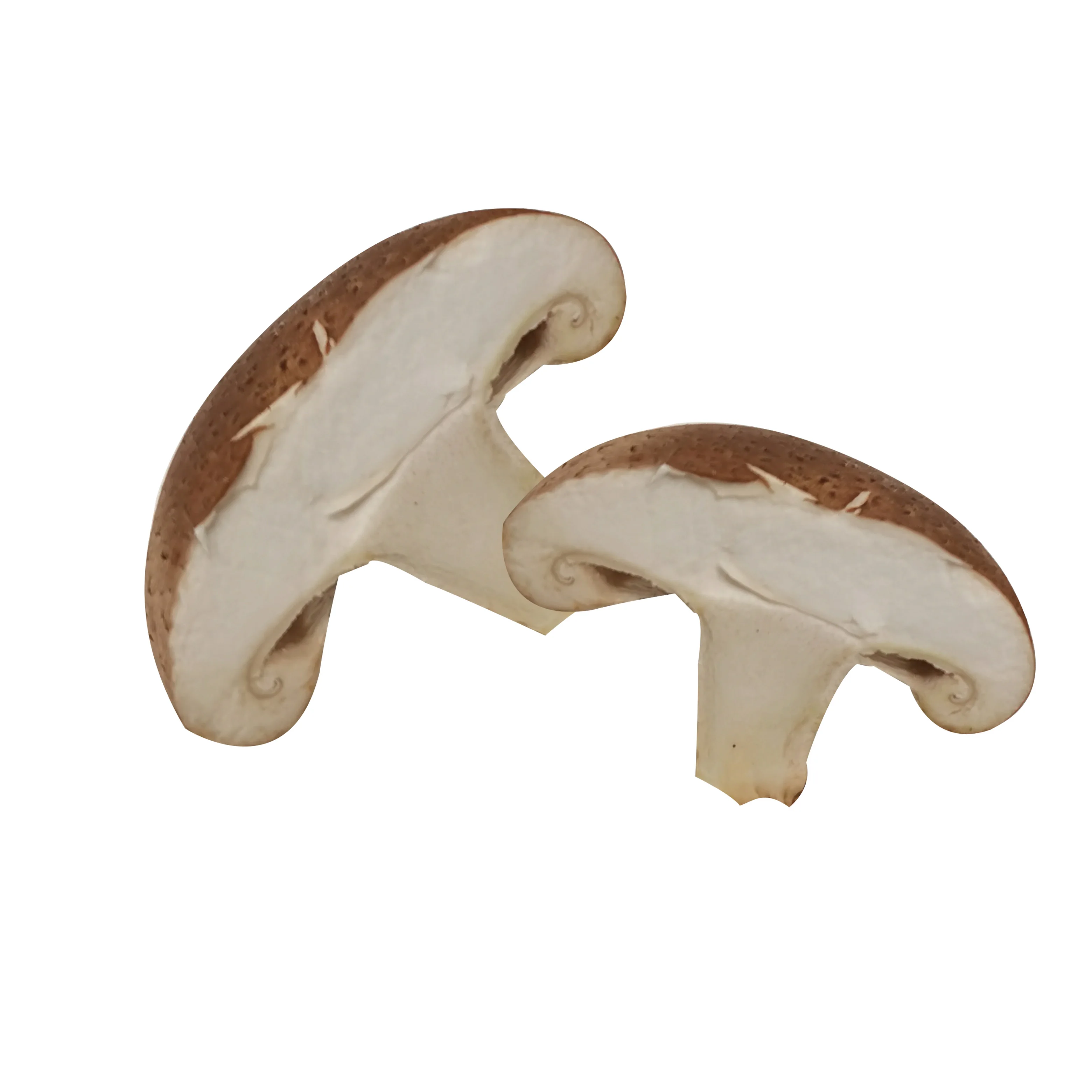 
2021 Hot selling newest grown fresh magic mushrooms 