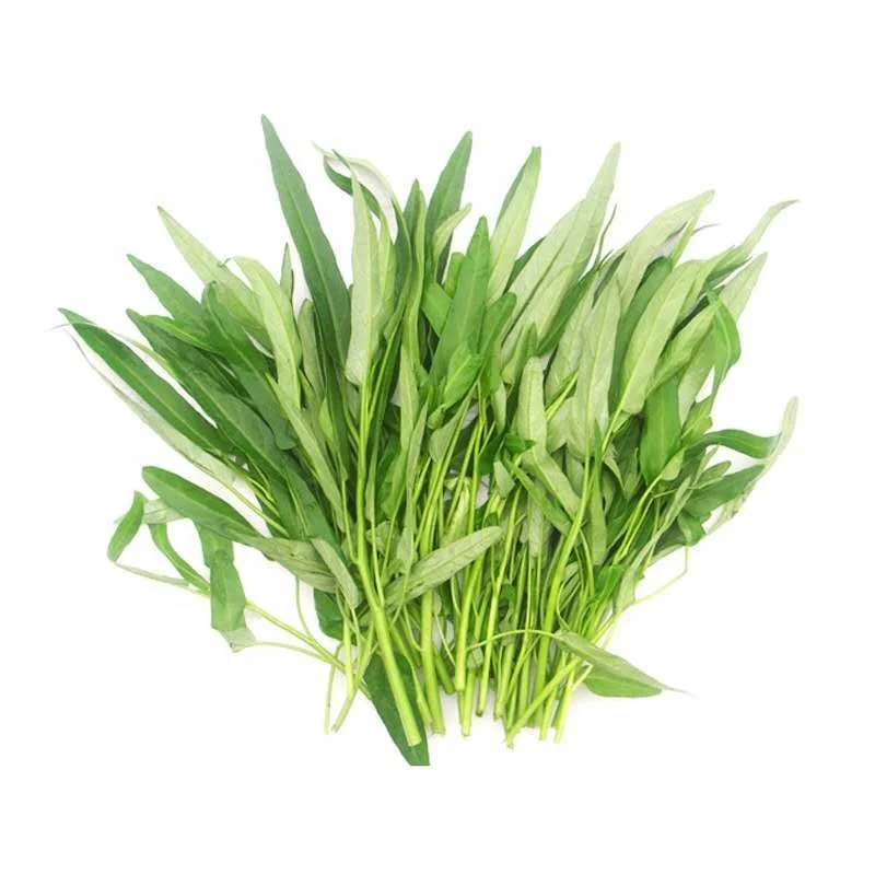 Высокопроизводительная Капустная капуста, высокий уровень прорастания, семена овощей, воды, шпината