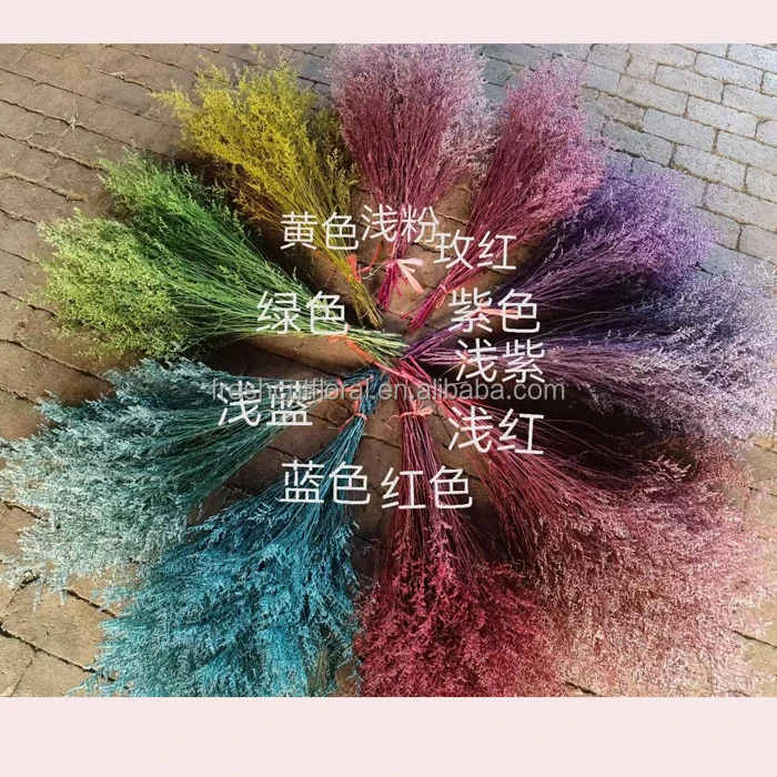 Hot selling preserved Limonium flower dried Baby Bearth flowers forget me Not dried preserved Misty Limonium Flowers