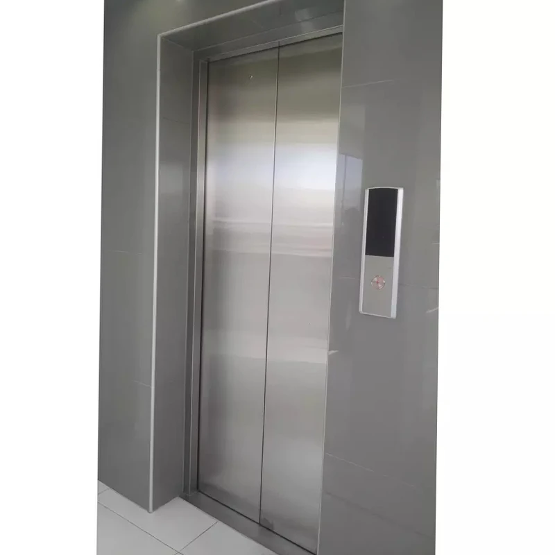 China high quality residential passenger elevator luxury decoration home small elevator