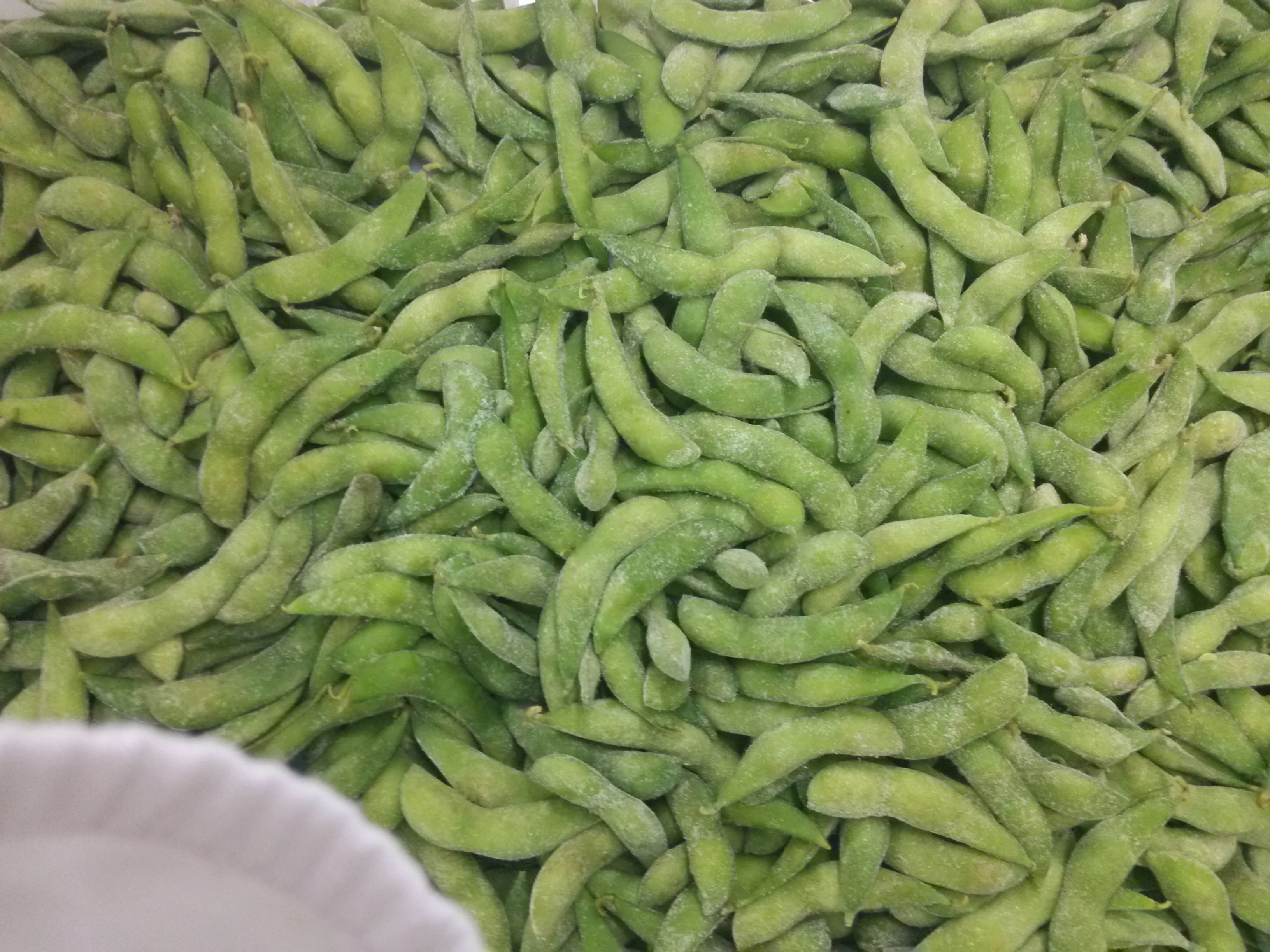 iqf frozen edamame pods