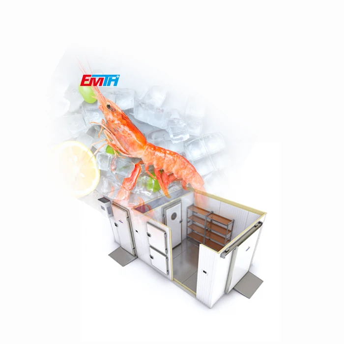 CHINA EMTH Supplier Cold Room refrigerator fan motor in storage food