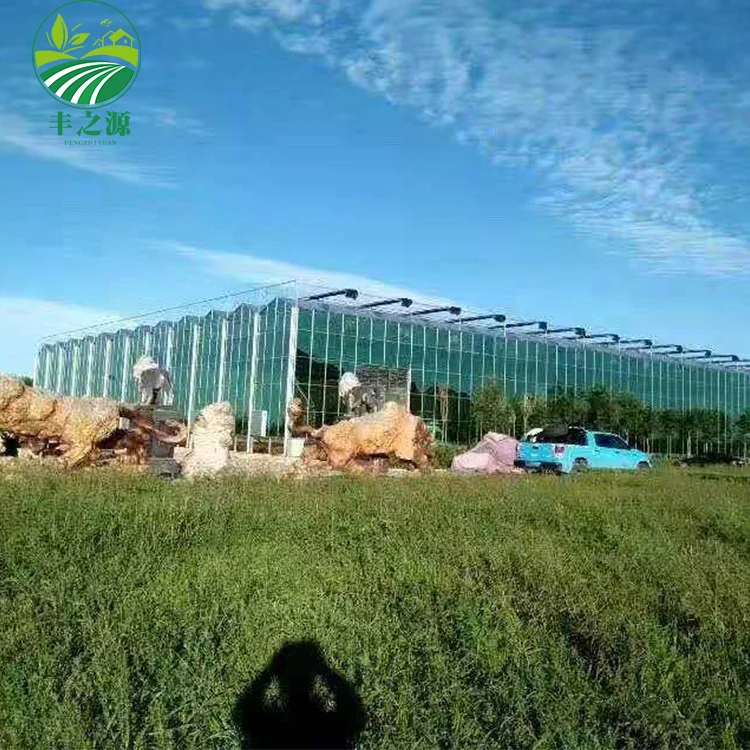 Разумная цена новый стиль большие стеклянные сельскохозяйственные теплицы для