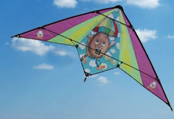 Dual-line Stunt kite, Advertising Stunt kite, Promotional Stunt kite