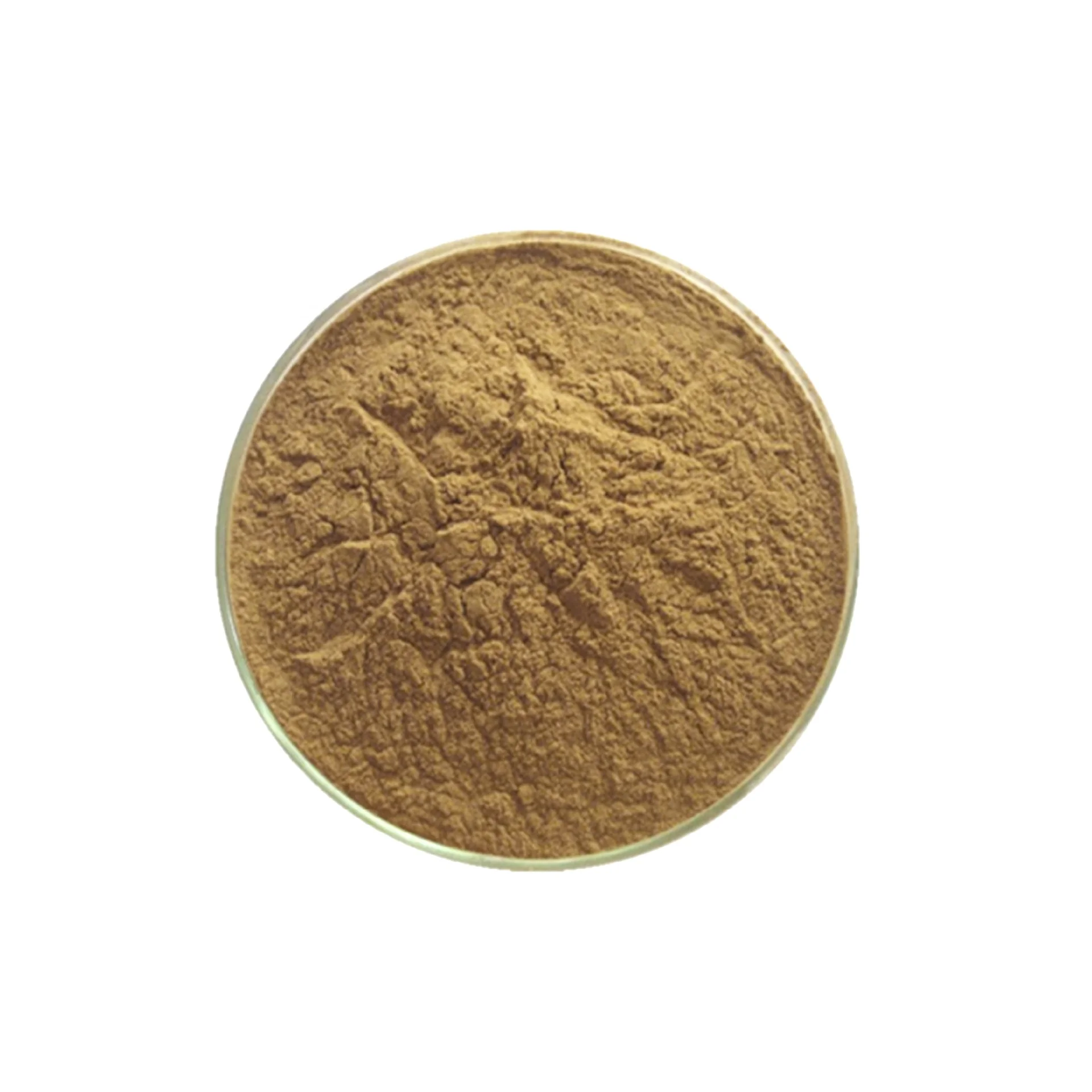 
Hot-selling Sakae Naa extract powder 