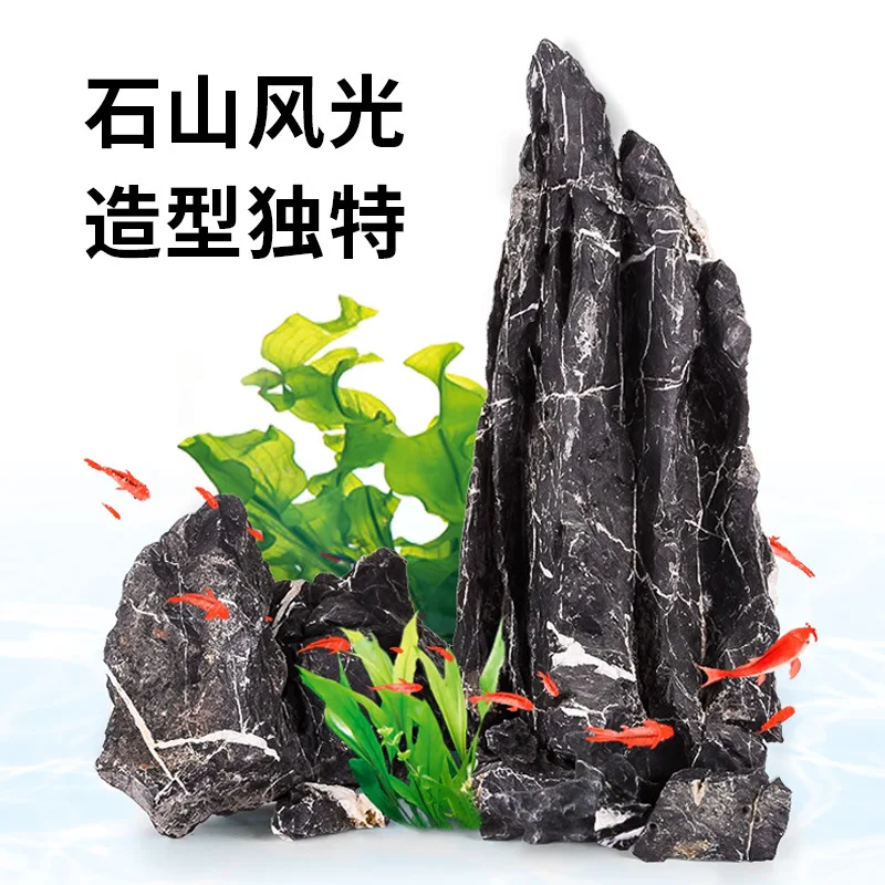shiqu natural pickling green dragon  grass tank aquarium landscape Yingde stone rockery w