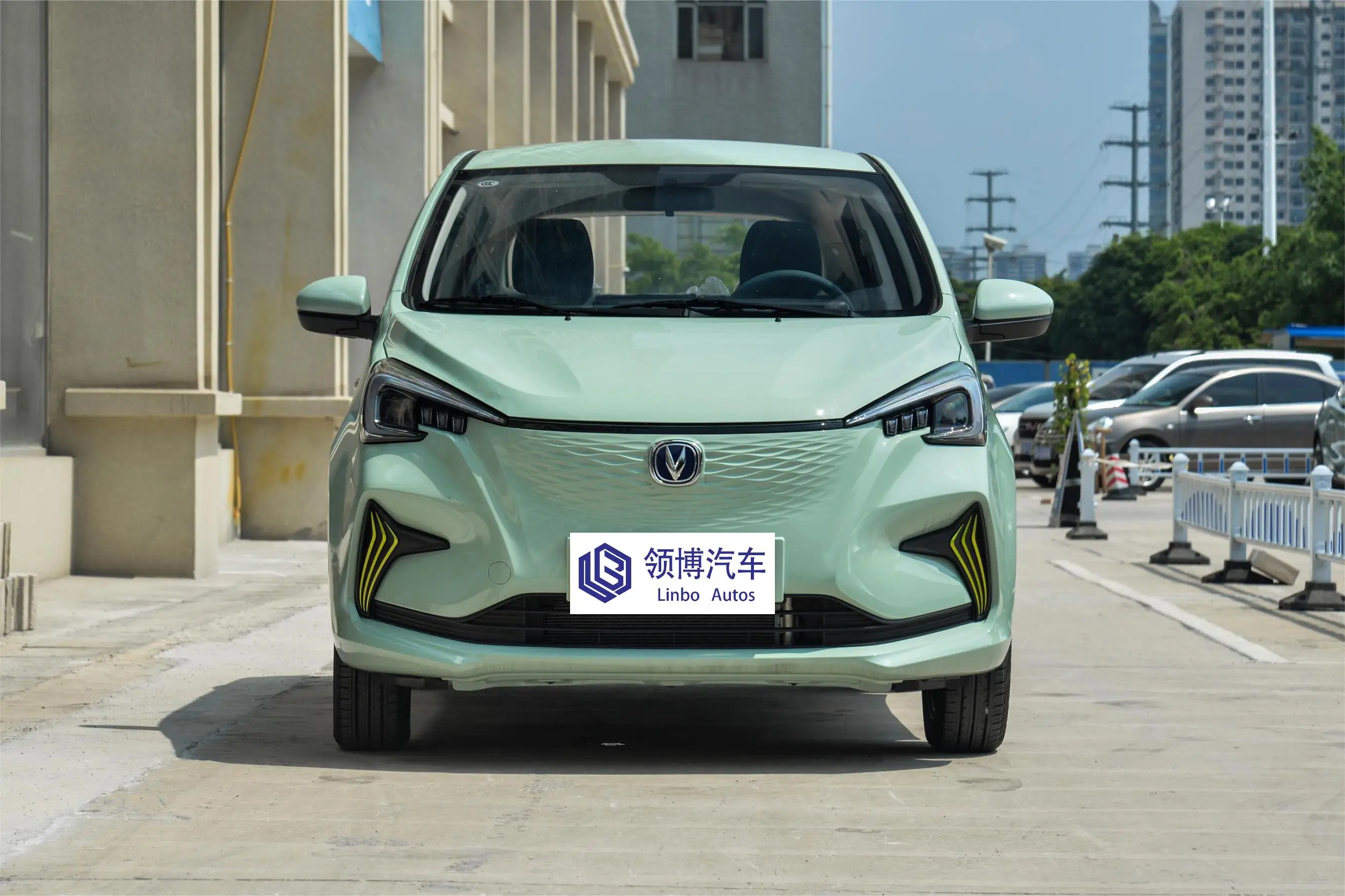 Best Selling Low Price Spot Changan Benben E-Star 2024 Colorful 310KM Lithium Iron Phosphate Pure Electric FWD Hatchback
