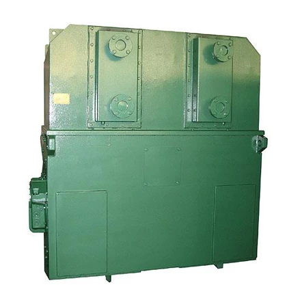995RPM 1490RPM 6KV IP23 IP44 High Voltage Electric Motor 700KW