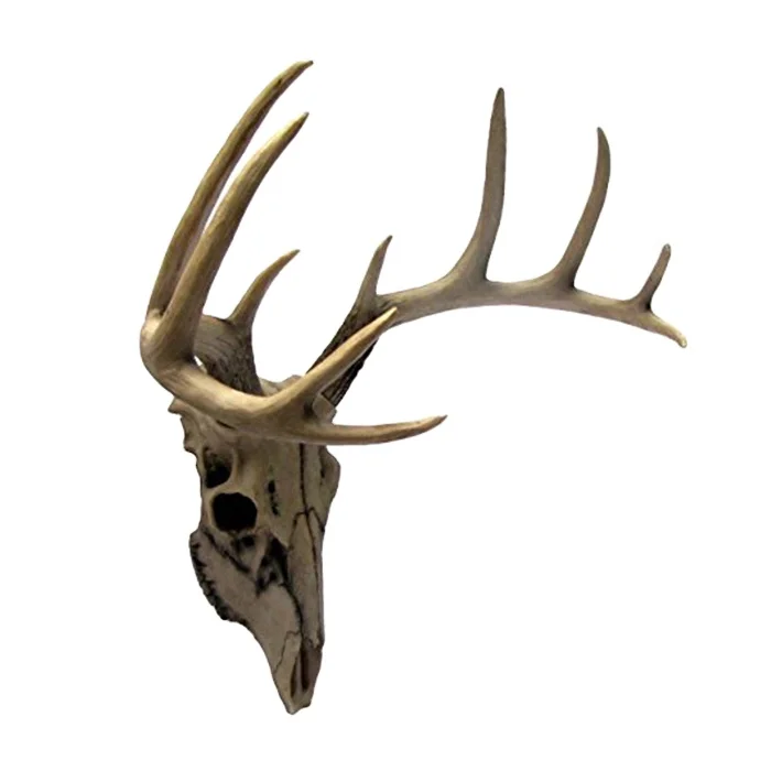 Deer Head Wall Mount Resin Deer Skull Antler Rack Bust Hunting Cabin or Lodge Decor