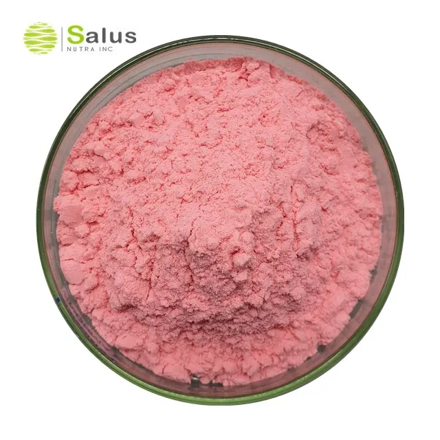 High Quality Prickly Pear Fruit Powder