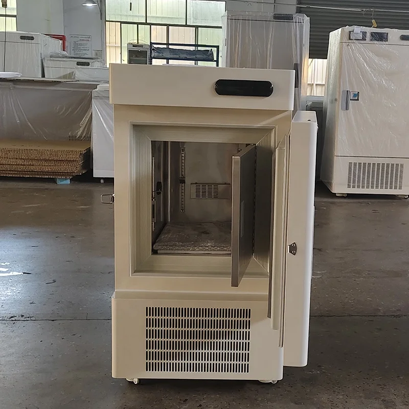 -65 Degree 58L Mini Ultra Low Temperature Biomedical Freezer