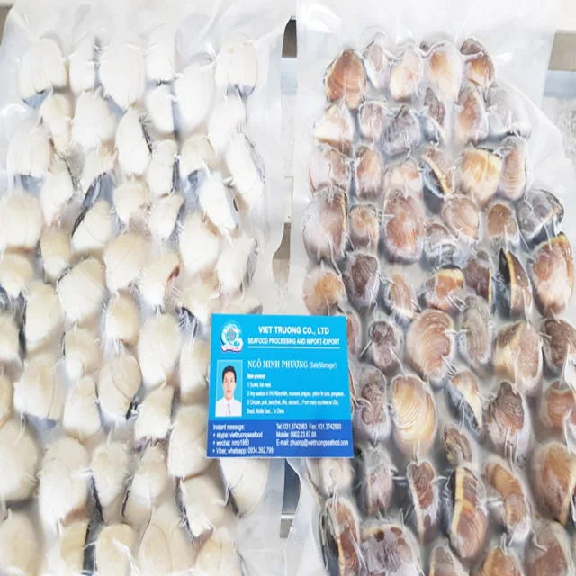  Замороженные биклапаны моллюски мясо 700/1000 шт. свежие для мяса индивидуальная упаковка
