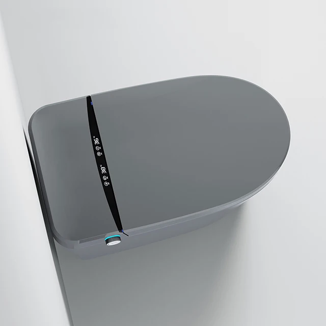 automatic water intelligent wc toilet bowl ceramic 120v smart toilet gray