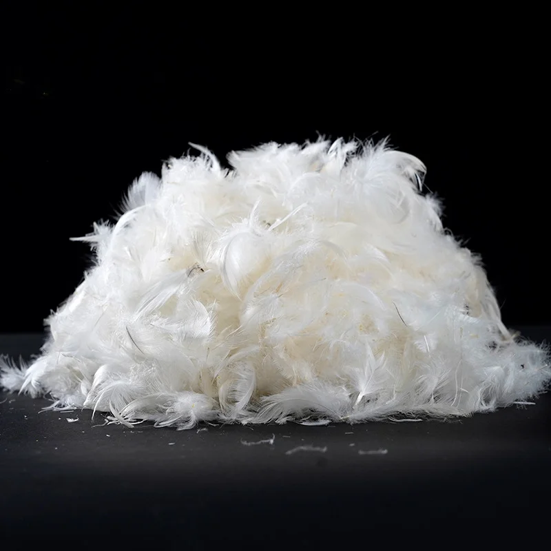 OEKO White 100% Duck Feather Filling Natural Filling for Comforters Pillows Jackets Couch Cushions