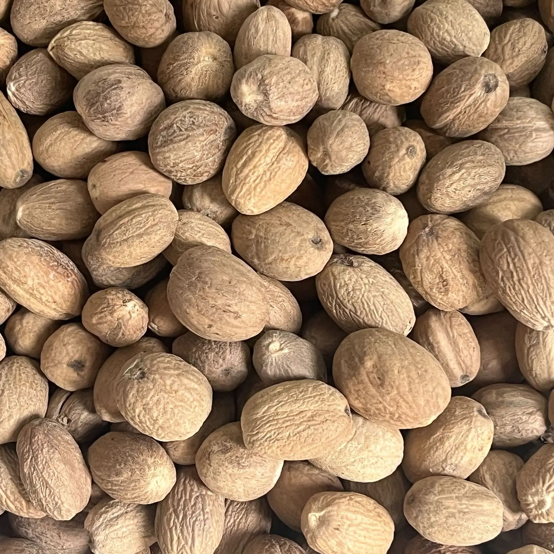 GEKO Food Top Product Cardamom Seed Wholesale Nutmeg For Single Spice Seasoning