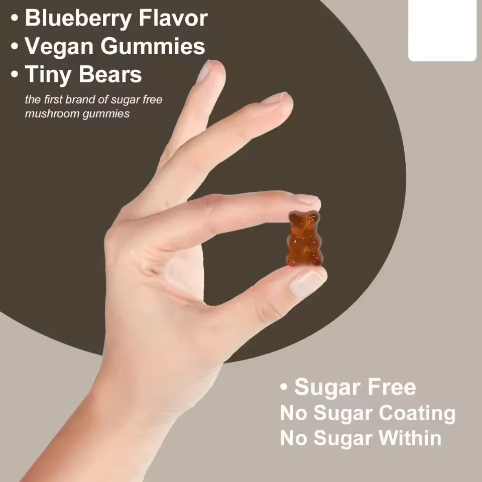 Free Sample Powerful Complex Mushroom Gummies Brain Boost Lion Mane Mushroom Gummies
