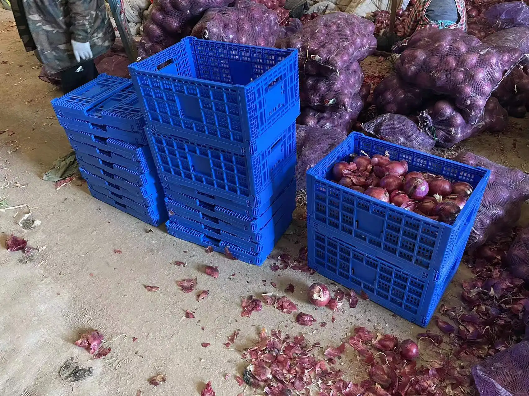 Plastic Produce Crates, Stackable Vegetable Harvest Crates containers  and bins to cleanly and safely harvest and store fru