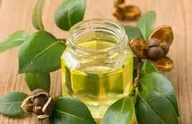 Carrier oil Organic Camellia oil Wholesale Suppliers /Cold Pressed Camellia Oil For Medicinal Use