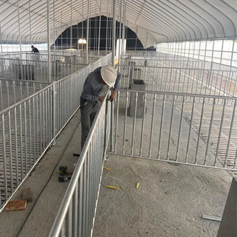 Feeder and Sow Gestation Pen with Limit Bar for Pig Stalls Fattening Animal Cages for Pig House