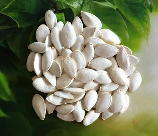 SHUANGXING семян высокое качество подвоем для арбуза и дыни