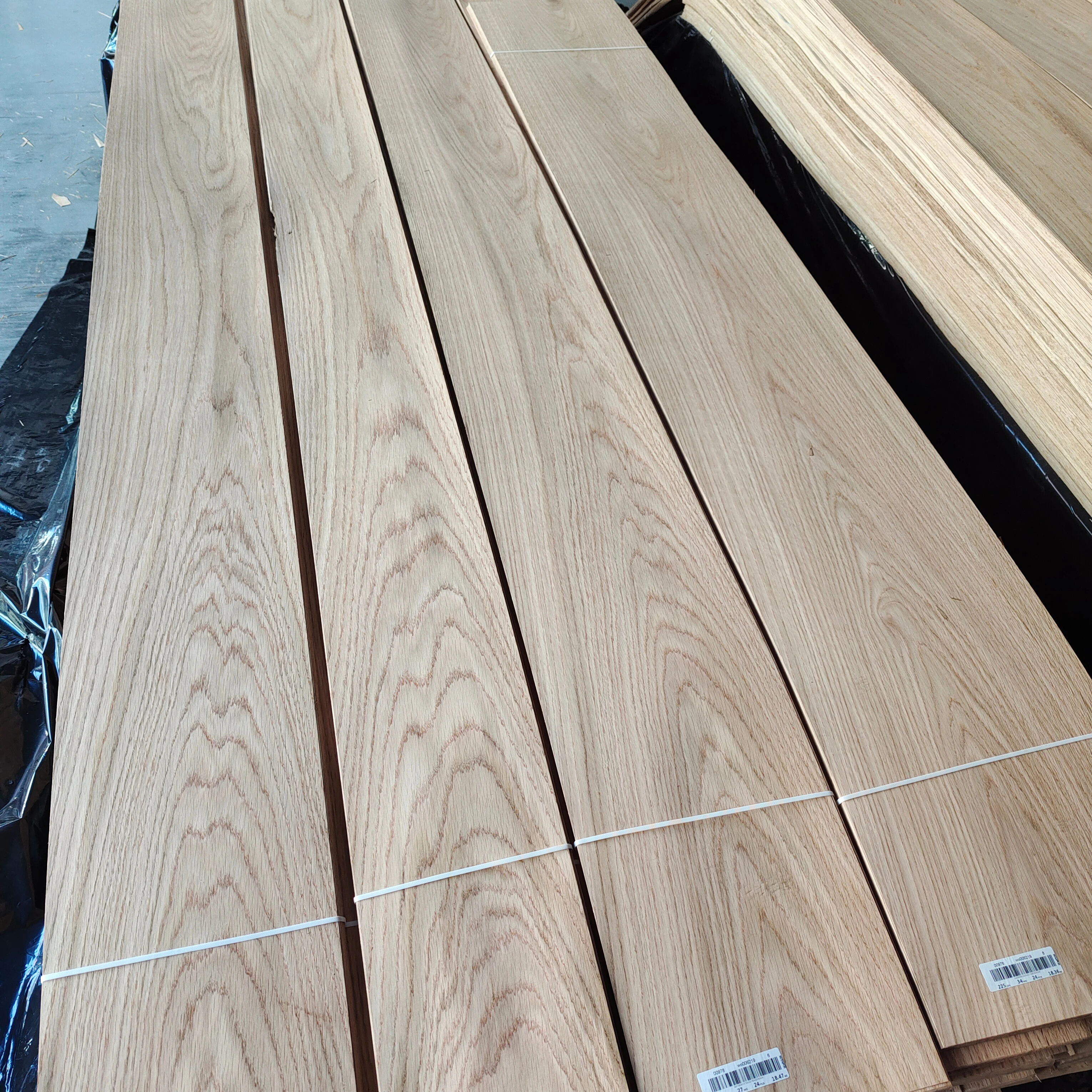 European Oak Wood Veneer 0.50 MM Crown Cut
