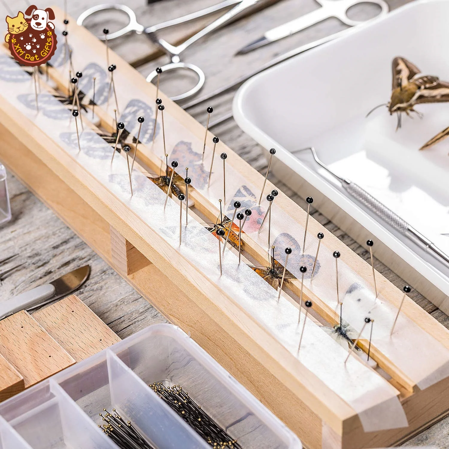 NEW hot sell 100 pcs per tube all 11 different international sizes of stainless steel insect pins specimen entomological pins