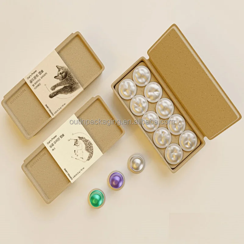 Customized Dry Press Molded Recycled Paper Biodegradable Pulp Packaging Box Eco Friendly Mold Pulp Molding Packaging Box