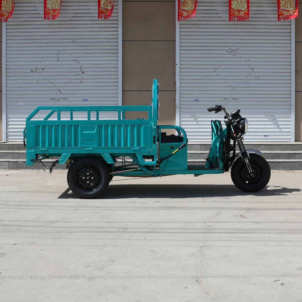 High Quality 1000W Electric Pedicab Family Use E-Trikes Electric Bike 3 Wheel Electric Tricycle With Rear Basket
