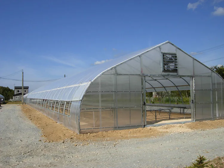 
cheap price tunnel greenhouse plastic sheet film tunnel greenhouse 