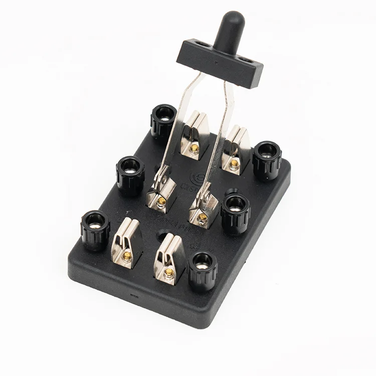 CXSDDZ ZDS100 двухполюсный двойной нож переключатель физическое электрическое лабораторное