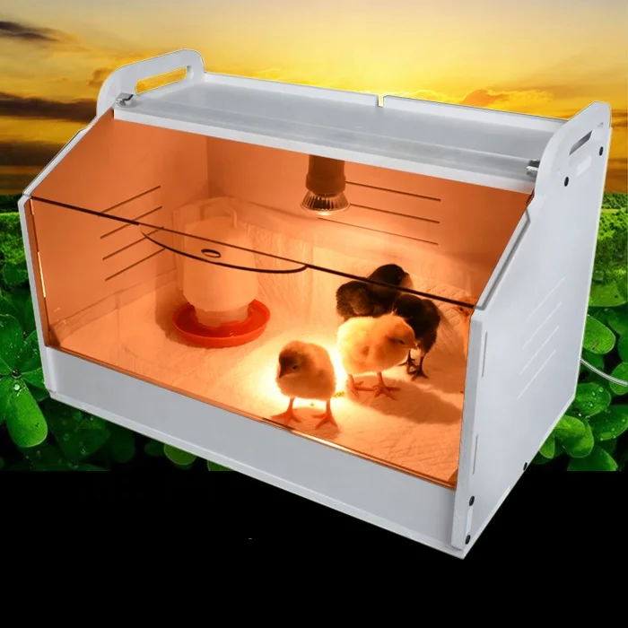 chick breeder warm baby chick poultry farm equipment
