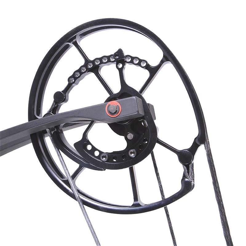New Design Pulley Compound Recurve Bow Archery Hunting Powerful Adjustable Interchange Compound Recurve Bow