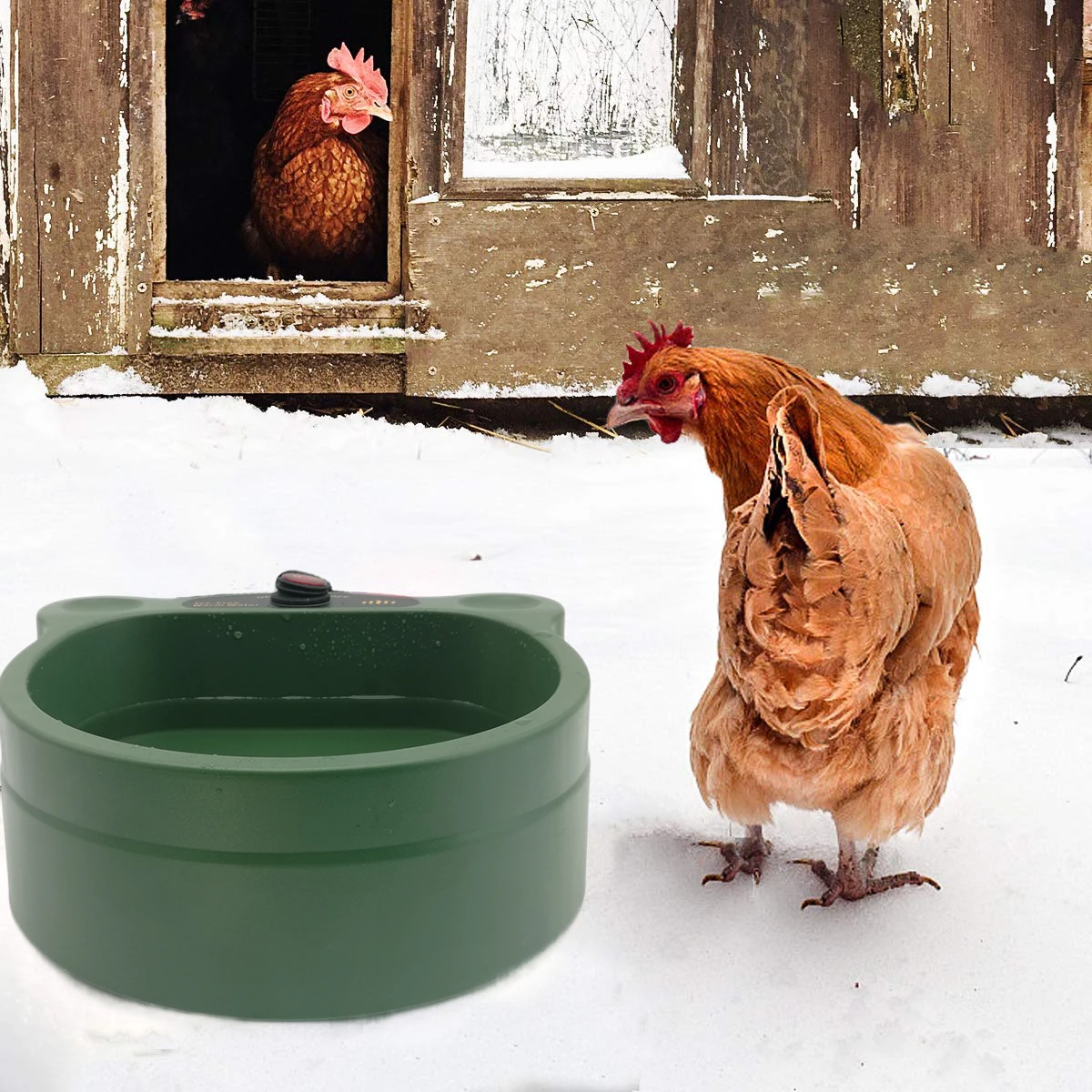 2021 new design pet training mat Heated Warm Pet Water Bowl for Dog Cat Chicken Squirrels Pet Heating Water Bowl