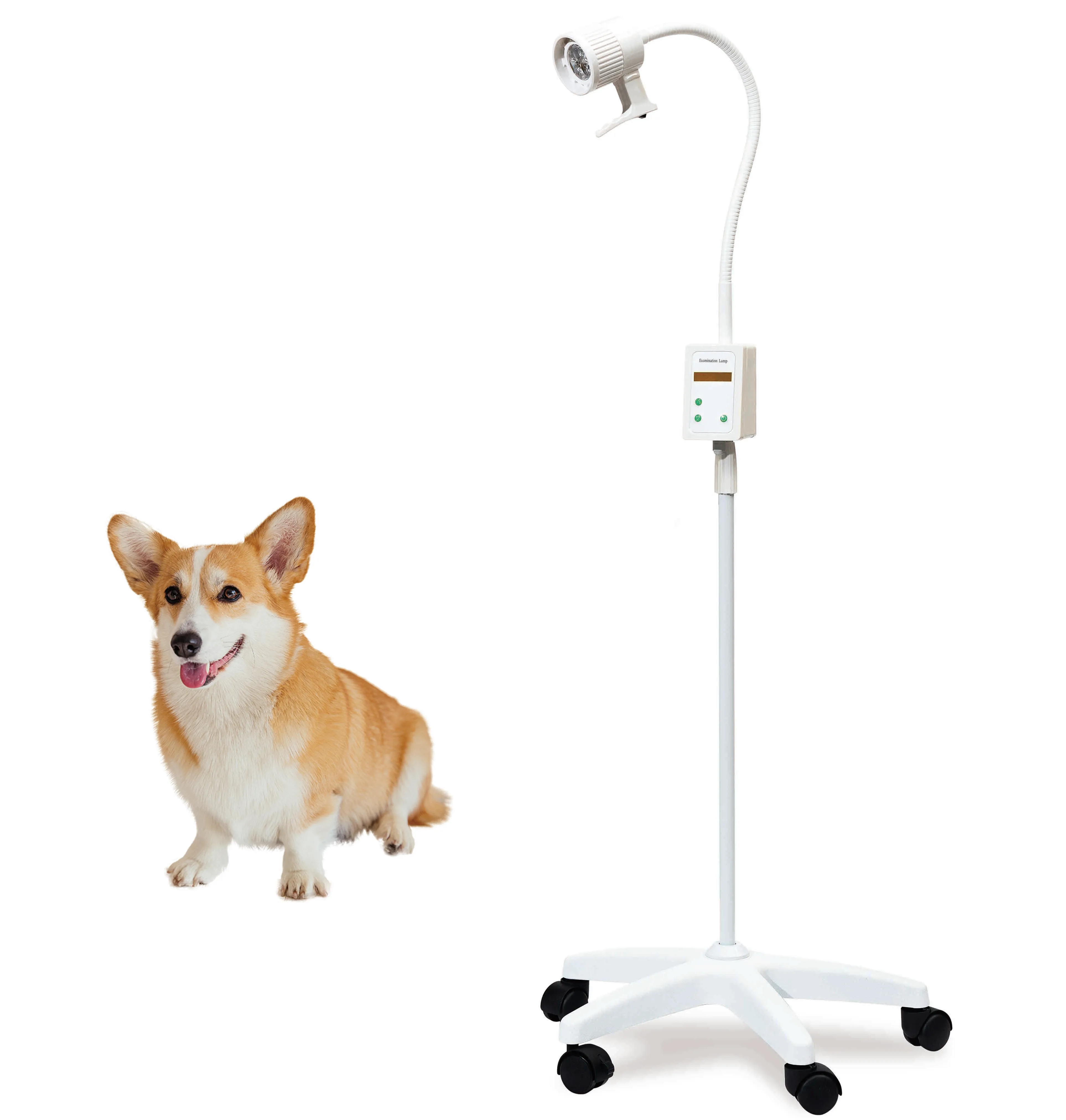 Multiple Holes LED Hospital Ssurgical Lamp Portable Operating Room Lights Surgical Examination Lamp