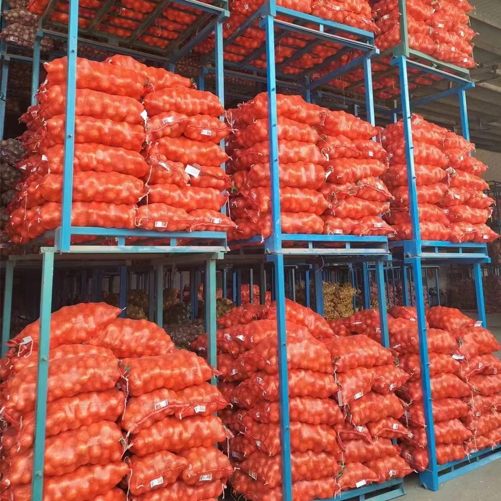 Buy Red Onion Chinese Fresh Yellow Onion Mesh Bag Price