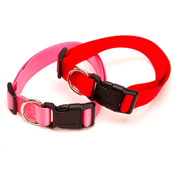 custom designers Basic Adjustable Dog training Collar in bulk