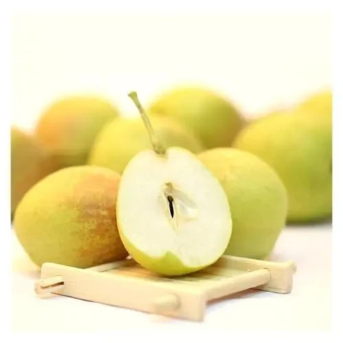Fresh Fragrant Pear Exported Chinese Fresh Fruit