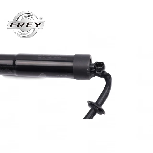 Auto Car Parts Electronic Tailgate Strut Tailgate Lifter Gas Spring LR044161 for Range Rover Sport L318 Frey Brand