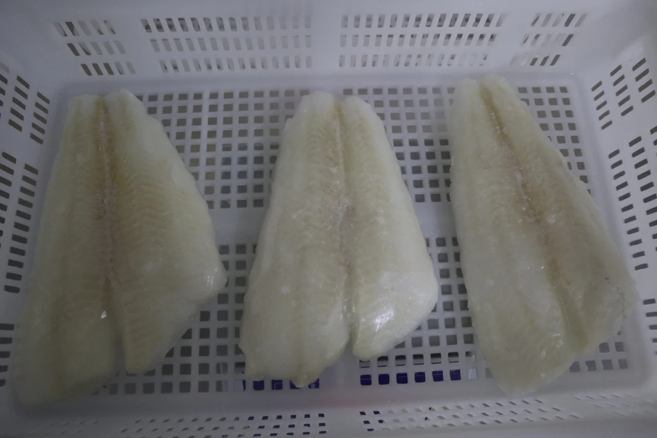 FROZEN ARROWTOOTH FLOUNDER FILLET OF ATTRACTIVE PRICE AND QUALITY